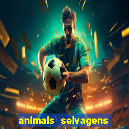 animais selvagens fotos e nomes